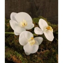 Tom Dixon Phalaeonopsis 3 Flowers - White