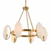 Six Form Chandelier -Home Furnishings Store s05112