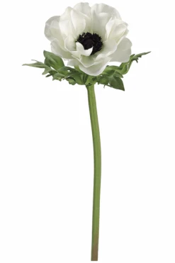 Tom Dixon White Anemone Poppy