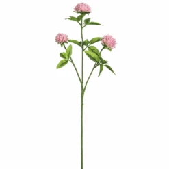 Tom Dixon Pink Clover Spray