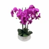 Fuchsia Orchid Flower Arrangement