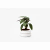 Short White Stacking Planter -Home Furnishings Store s15188