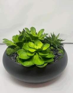 Tom Dixon Green Succulent Floral Arrangement