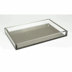 Lucite Silver Tray