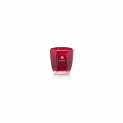 Dr. Vranjes Rosso Nobile Medium Red Candle